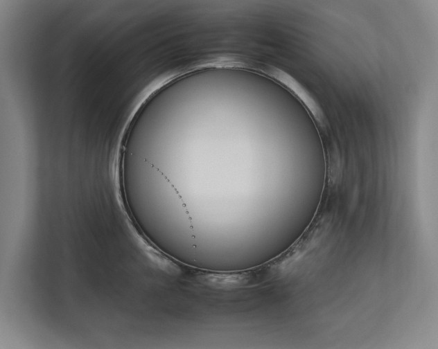 X0000111140861200907071047