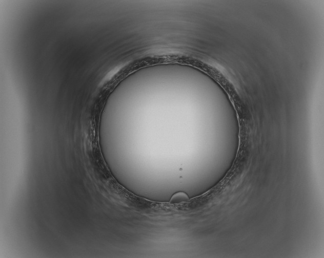 X0000111140871200907071047