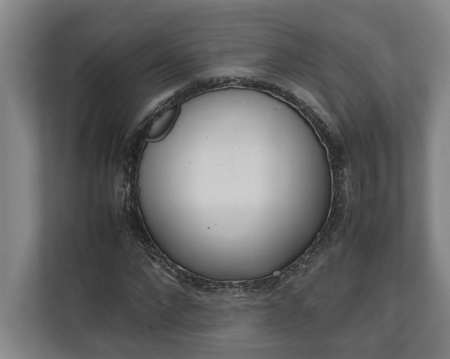 X0000111140872200907071047