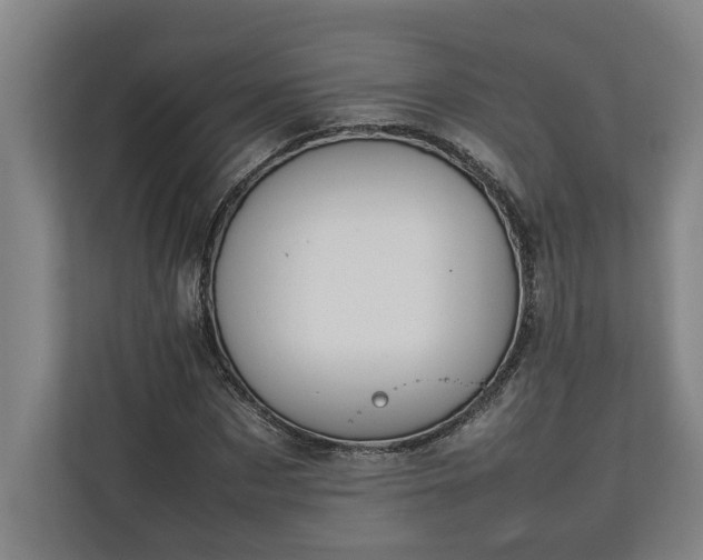 X0000111140873200907071047