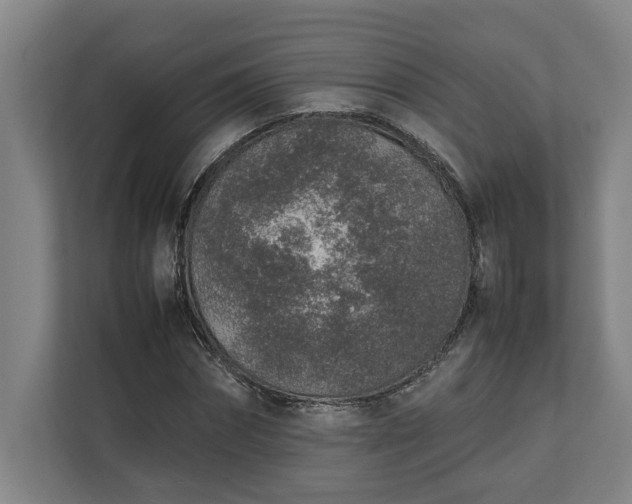 X0000111140874200907071047