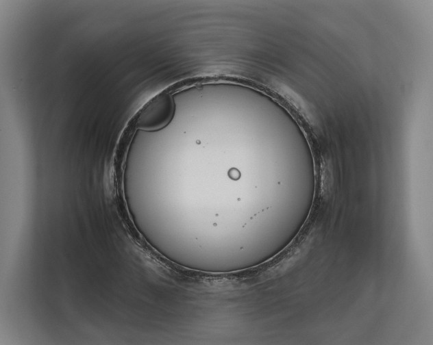 X0000111140876200907071047