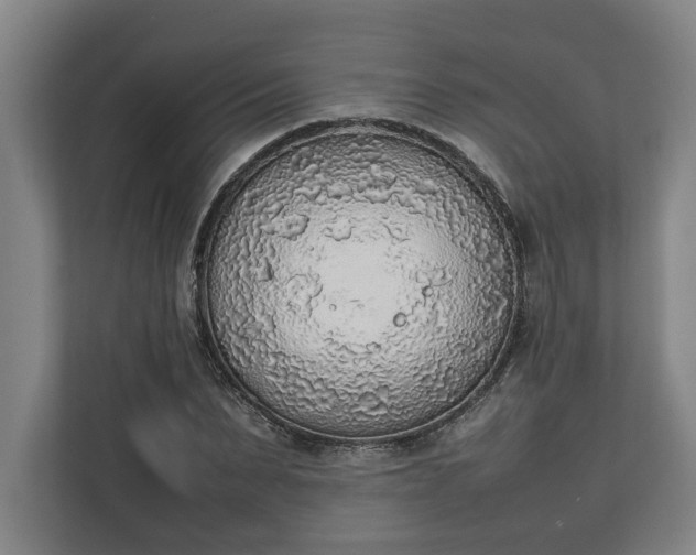 X0000111140879200907071047