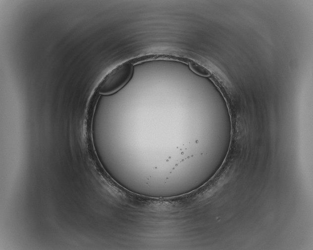 X0000111140880200907071047