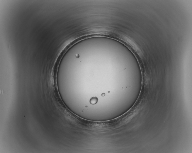 X0000111140883200907071047