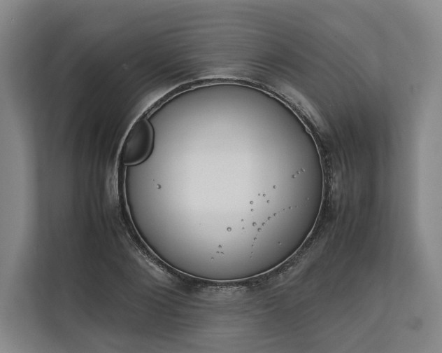 X0000111140884200907071047