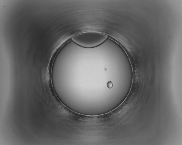 X0000111140885200907071047