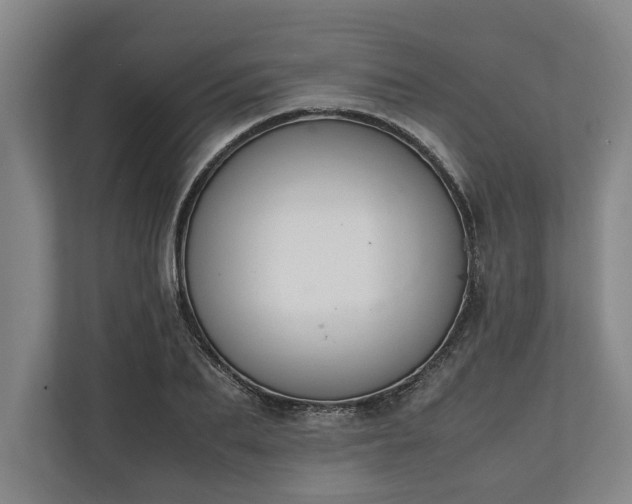 X0000111140887200907071047