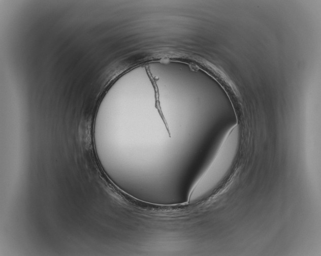 X0000111140889200907071046