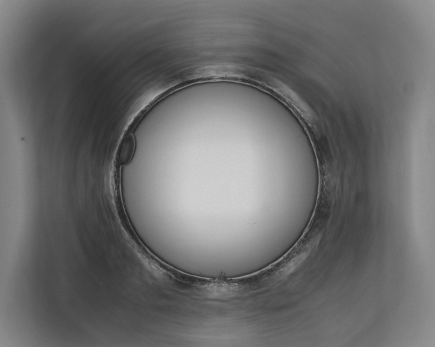 X0000111140893200907071046