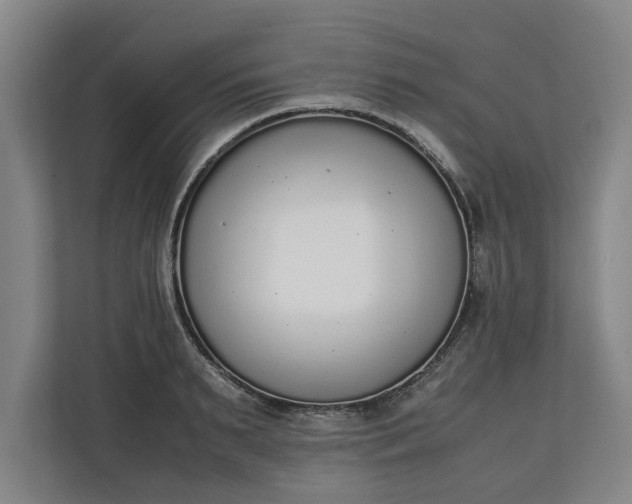 X0000111140895200907071046