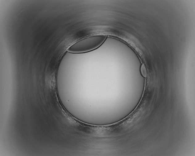 X0000111140897200907071046