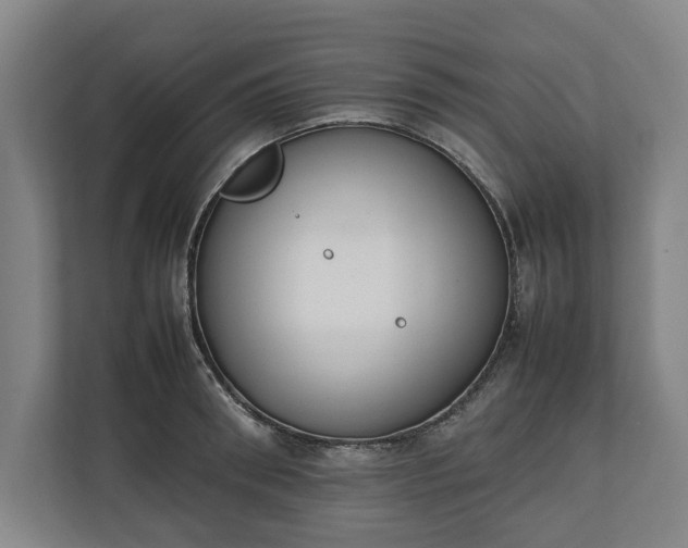 X0000111140898200907071046