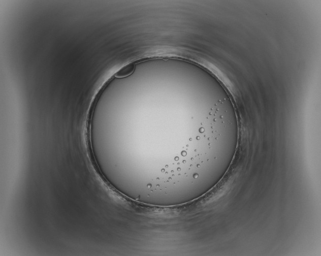 X0000111140901200907071046