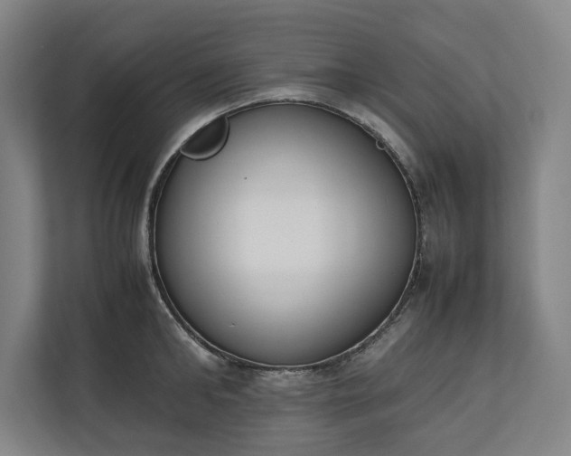 X0000111140902200907071046