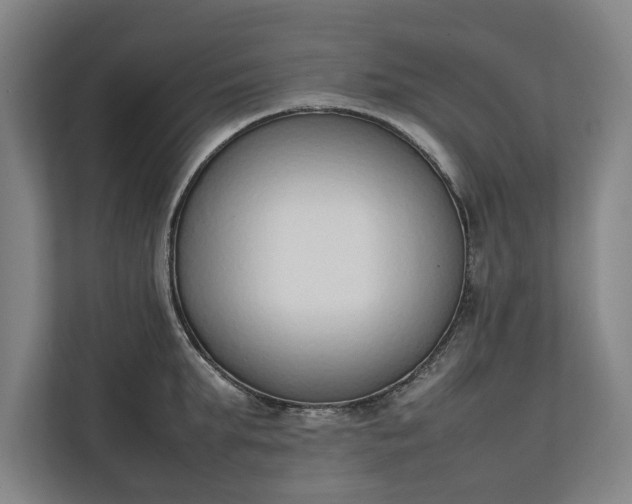 X0000111140903200907071046