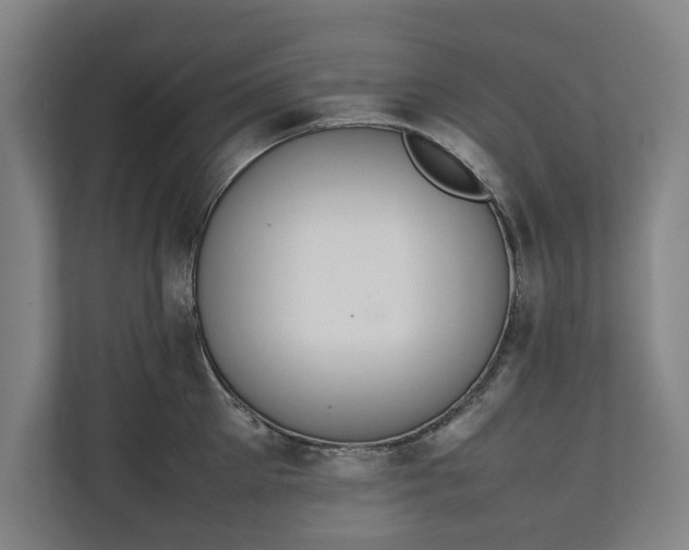 X0000111140905200907071046