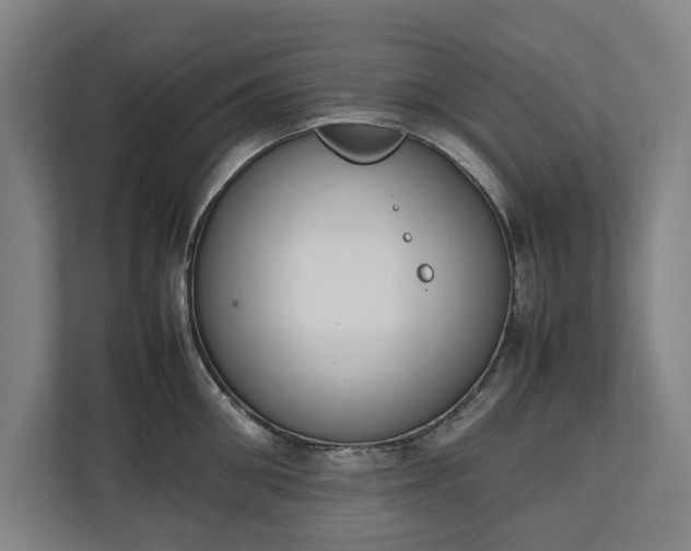 X0000111140906200907071046