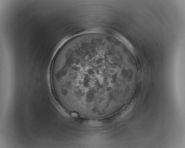 X0000111140907200907071046