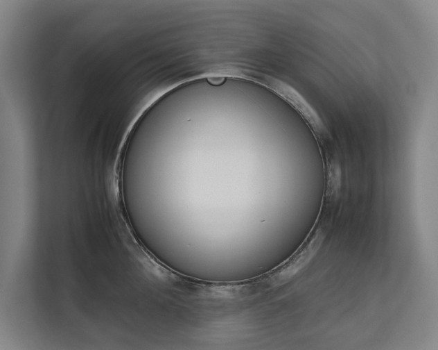 X0000111140908200907071046