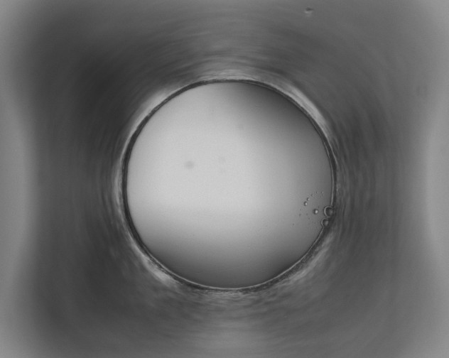 X0000111140909200907071046