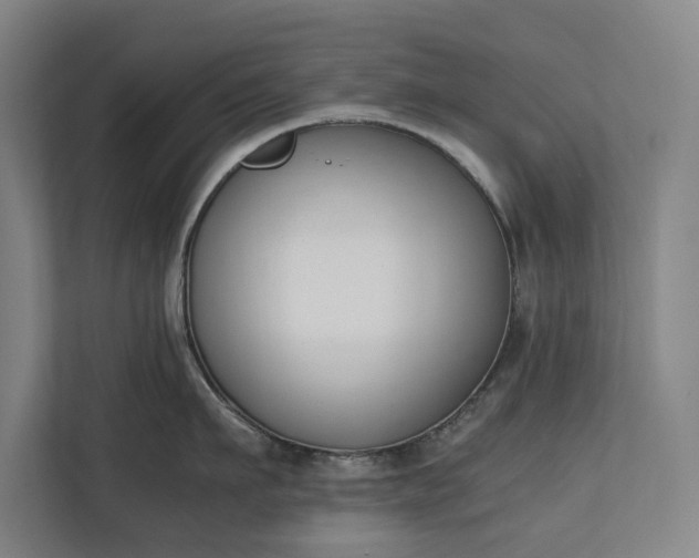 X0000111140911200907071046