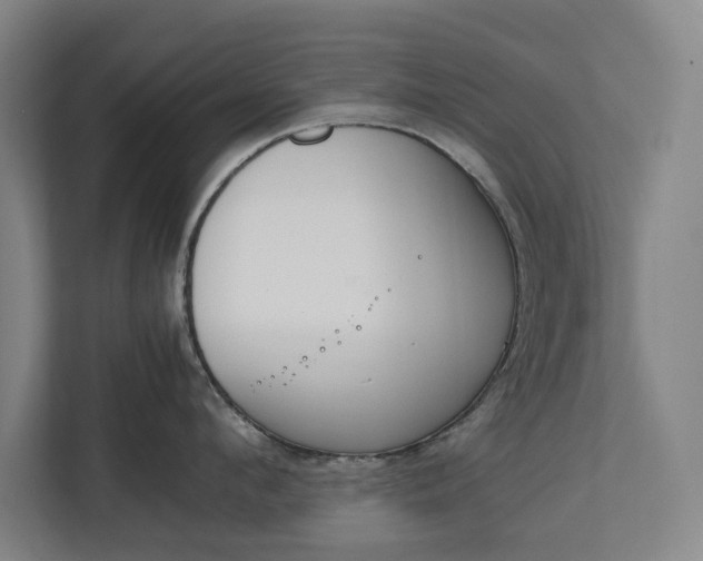 X0000111140912200907071046