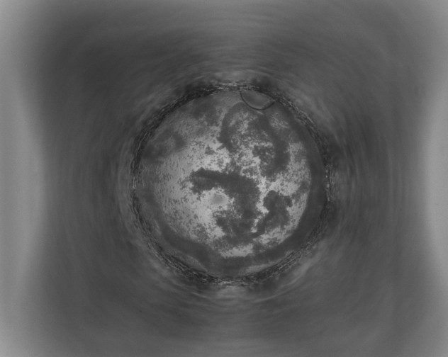 X0000111140913200907071046