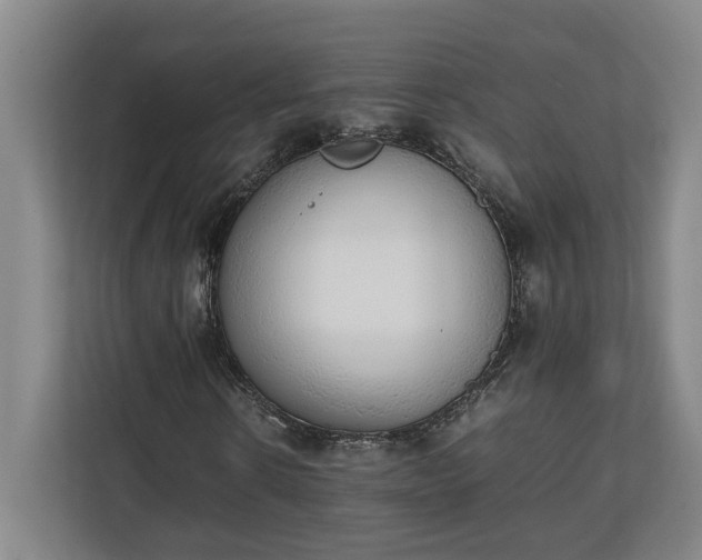 X0000111140914200907071046