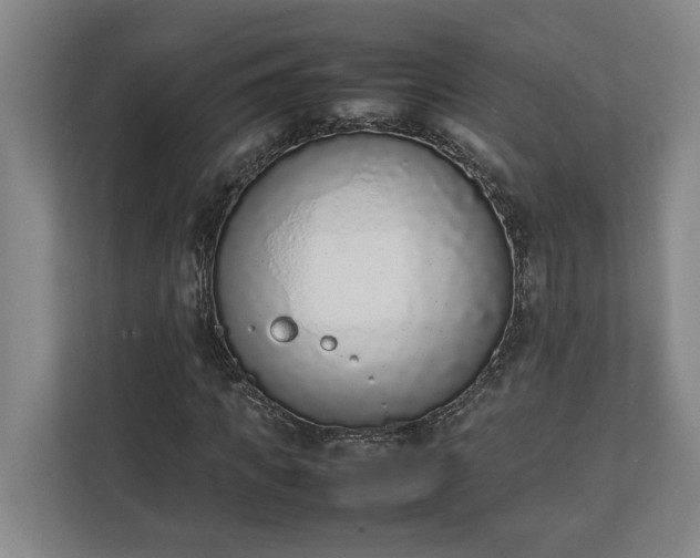 X0000111140917200907071046