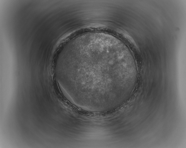 X0000111140920200907071046