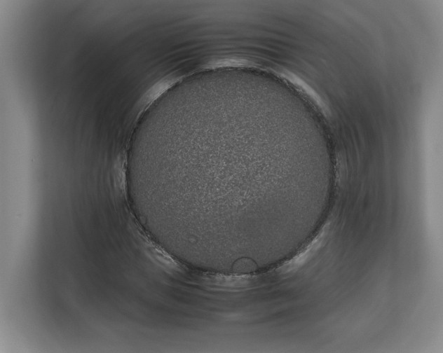 X0000111140921200907071046