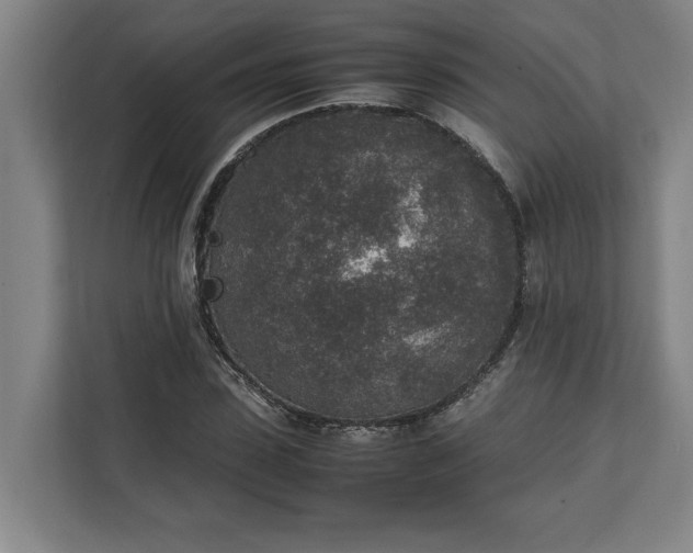 X0000111140923200907071046