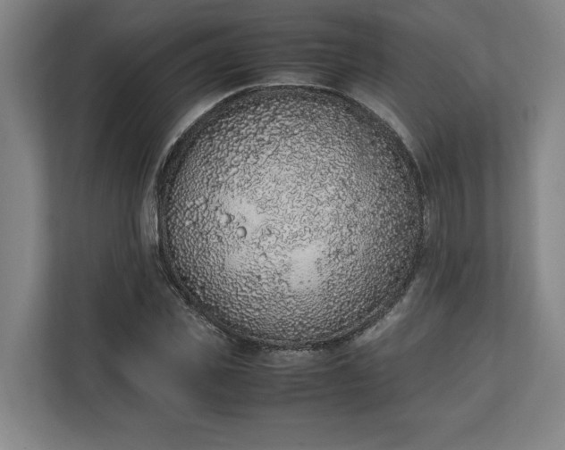 X0000111140925200907071046