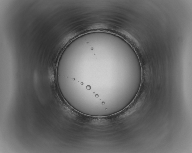 X0000111140929200907071046