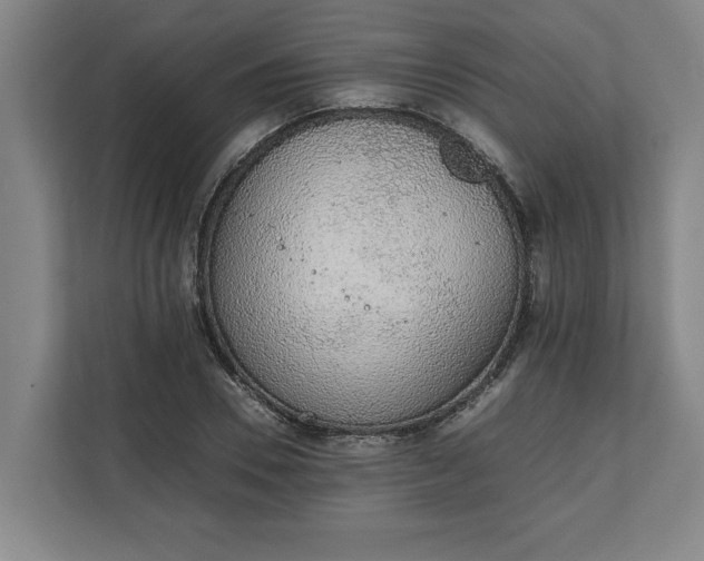 X0000111140930200907071046