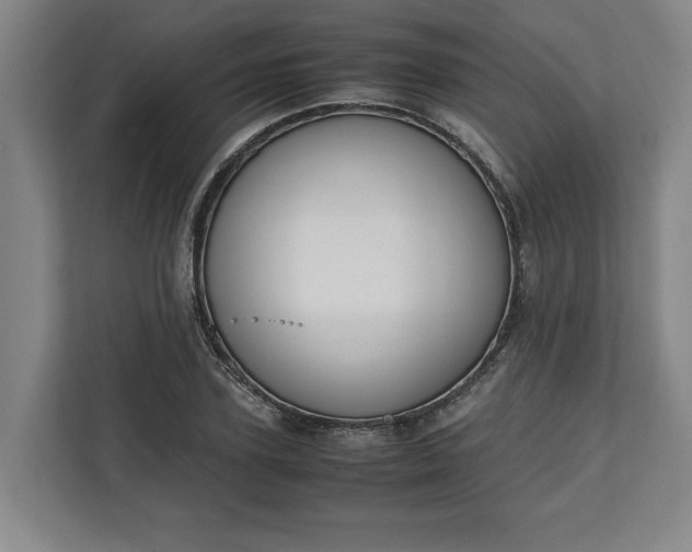 X0000111140931200907071046