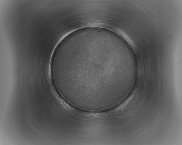 X0000111140932200907071046