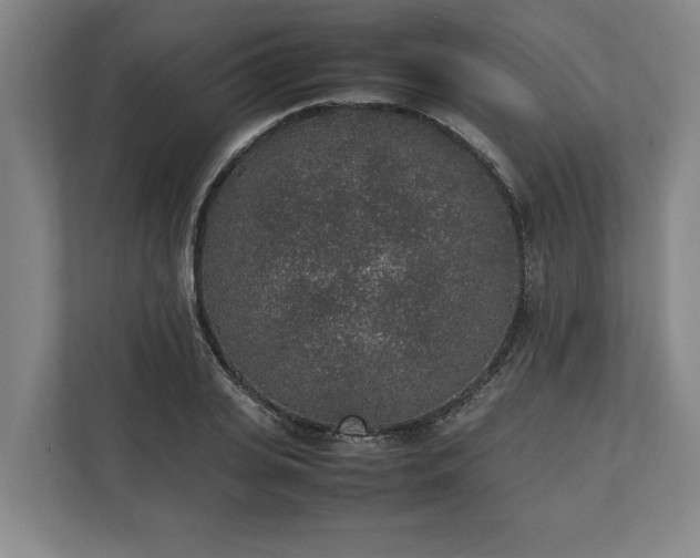 X0000111140935200907071046