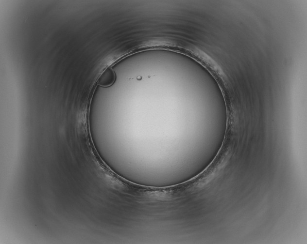 X0000111140937200907071046