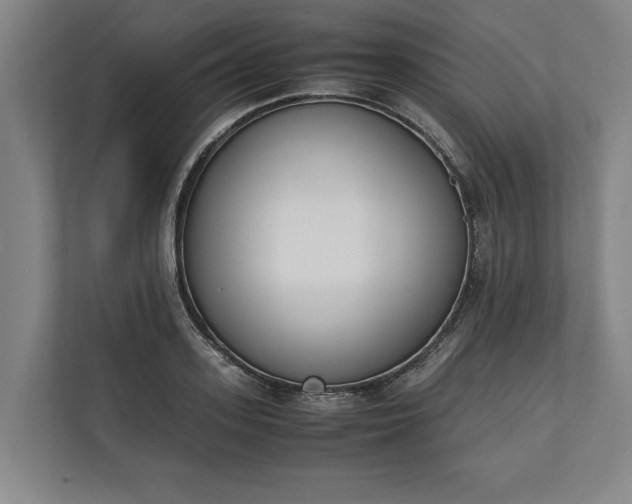 X0000111140939200907071046