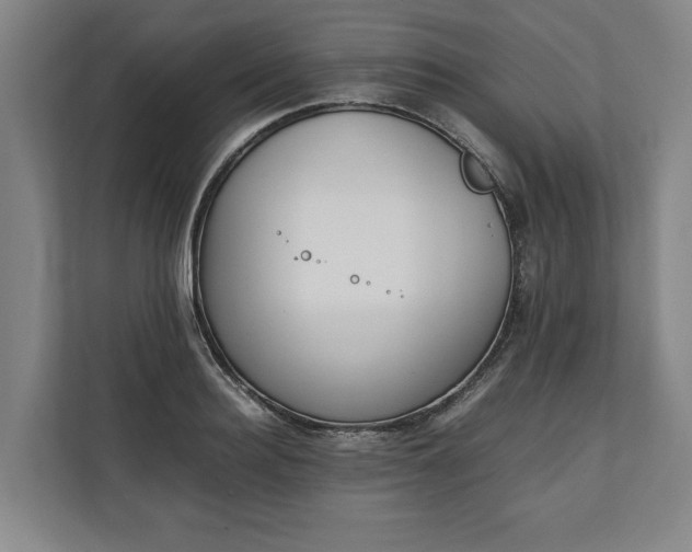 X0000111140940200907071046