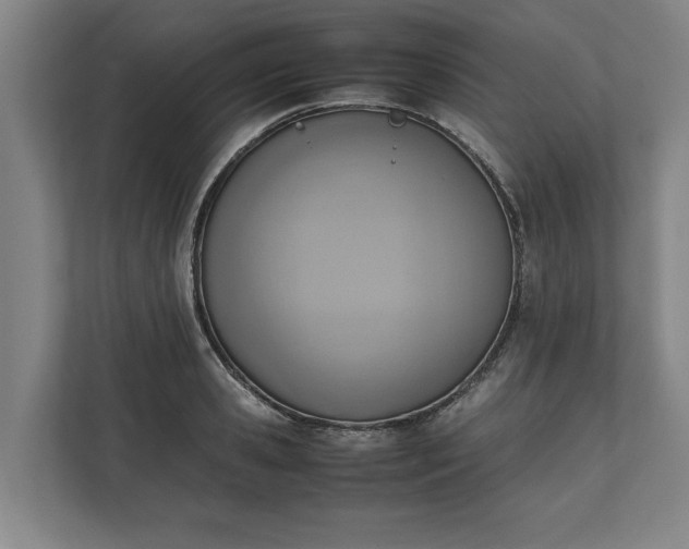 X0000111140941200907071046