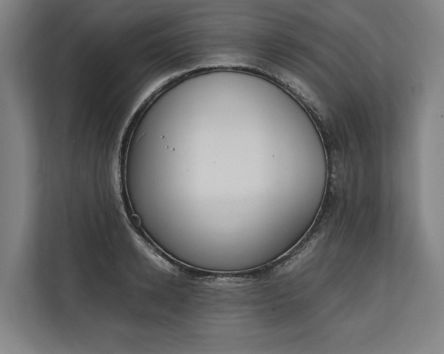 X0000111140942200907071046