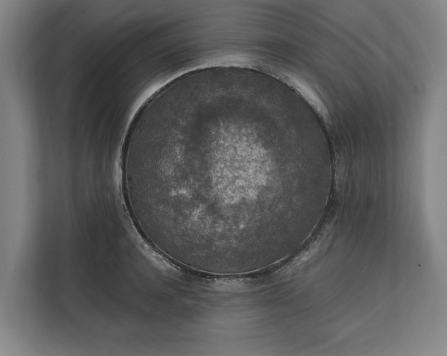 X0000111140944200907071046