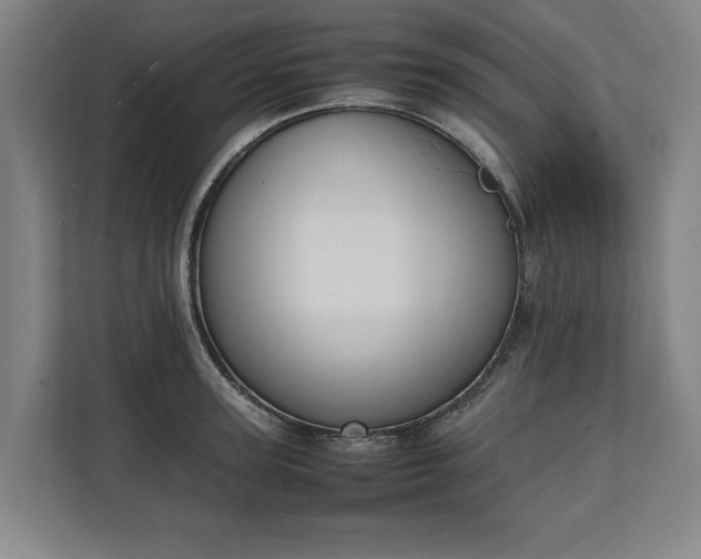 X0000111140947200907071046