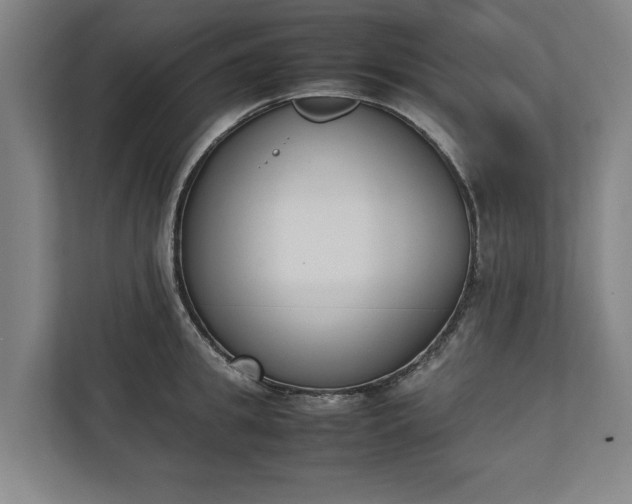 X0000111140949200907071046