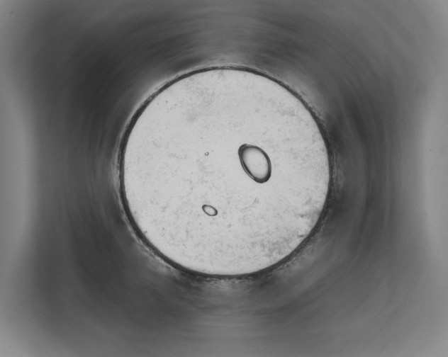 X0000111140950200907071046