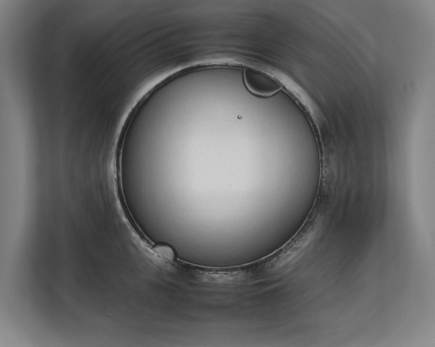 X0000111140951200907071046