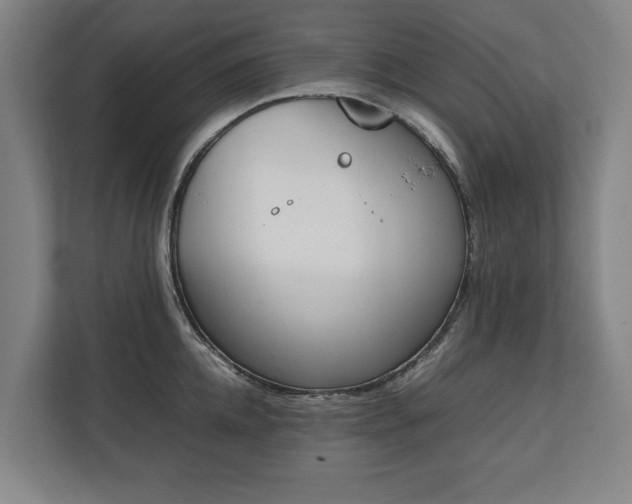 X0000111140952200907071046